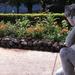 A sculpture admires a nearby flower bed